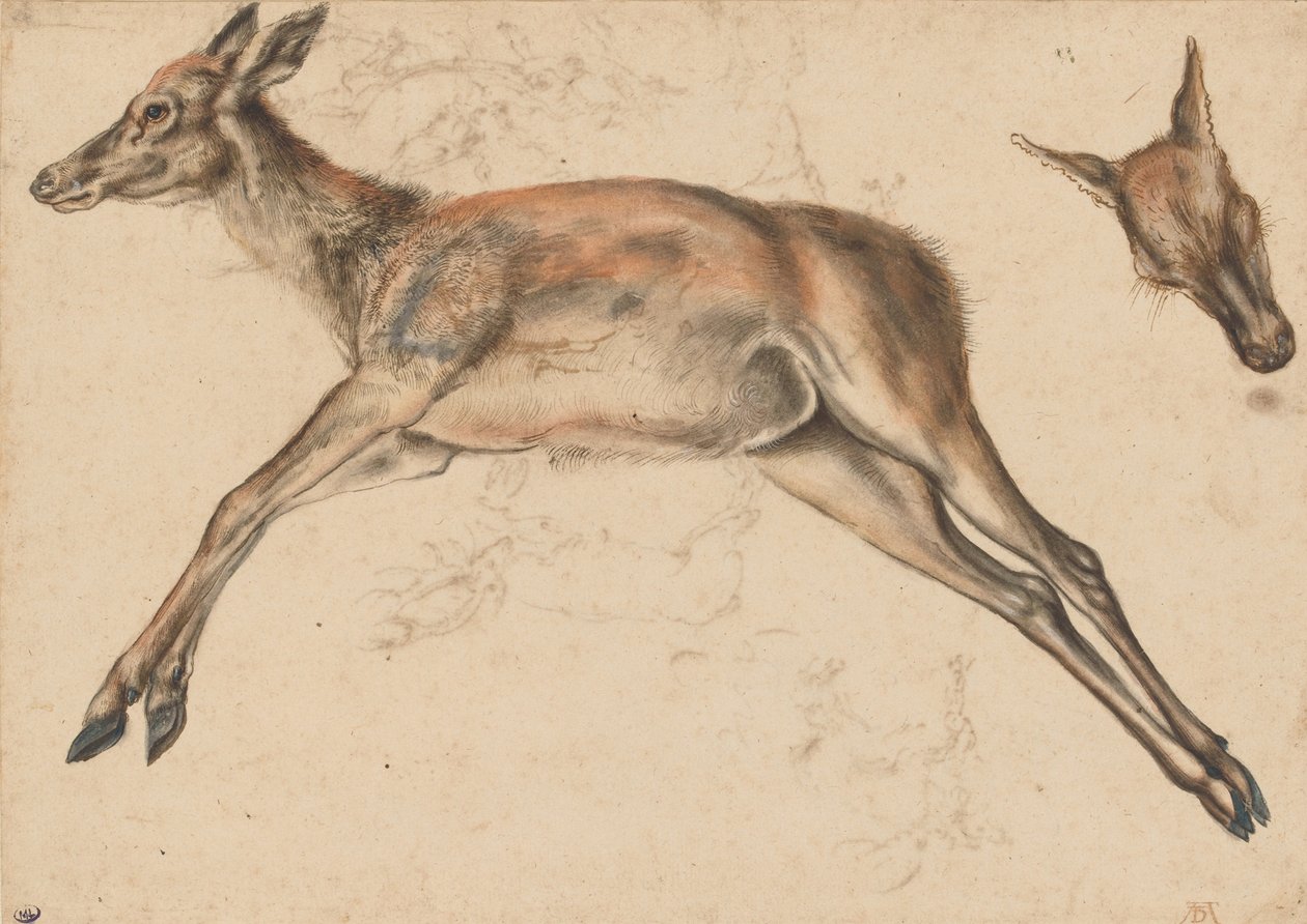 Død bak, de fire lemmer forlenget, og hindrer hodet av Lucas Cranach the Elder