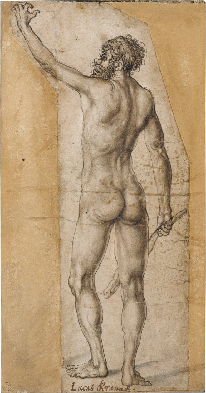 Naken fra baksiden av en stående mann av Lucas Cranach the Elder