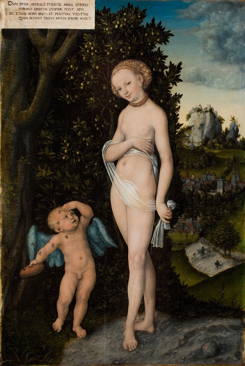 Venus med Amor stjeler honning av Lucas Cranach the Elder
