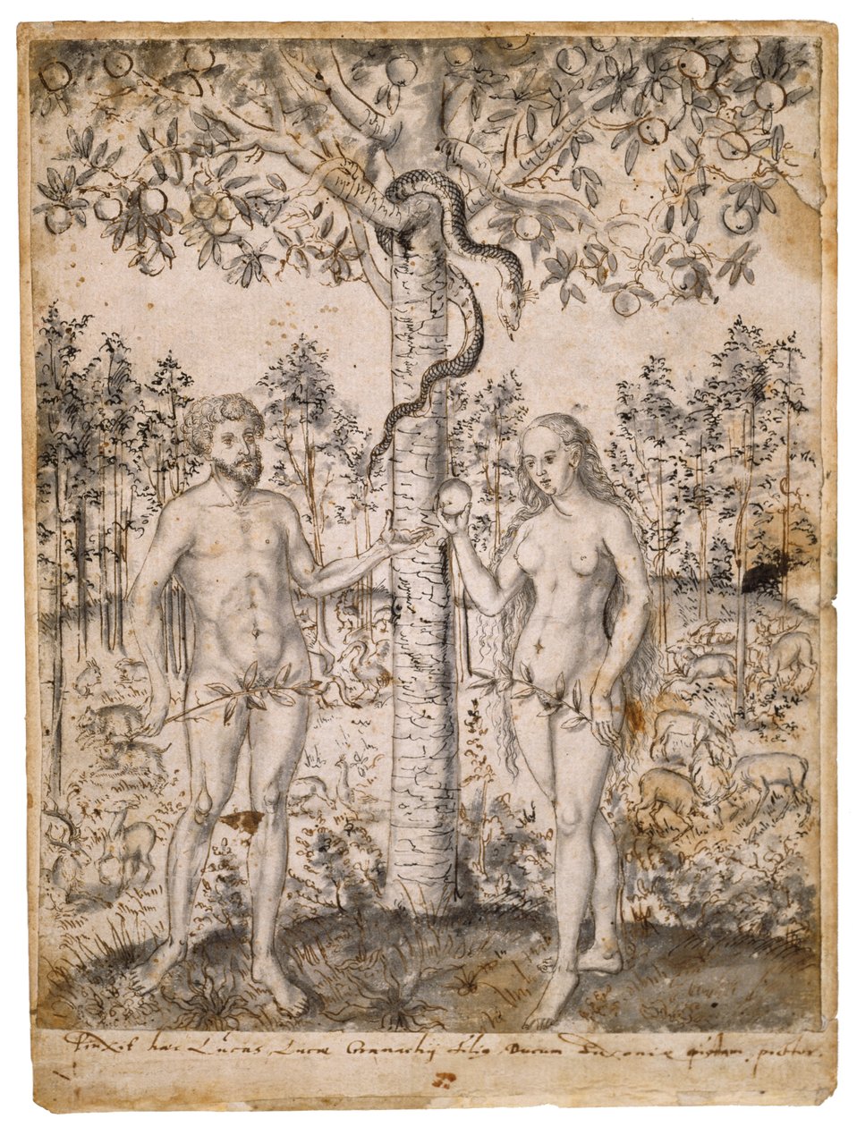 The Fall of Man, etter 1549 (penn, svart og brunt blekk, med svart vask på lagt papir) av Lucas Cranach the Elder