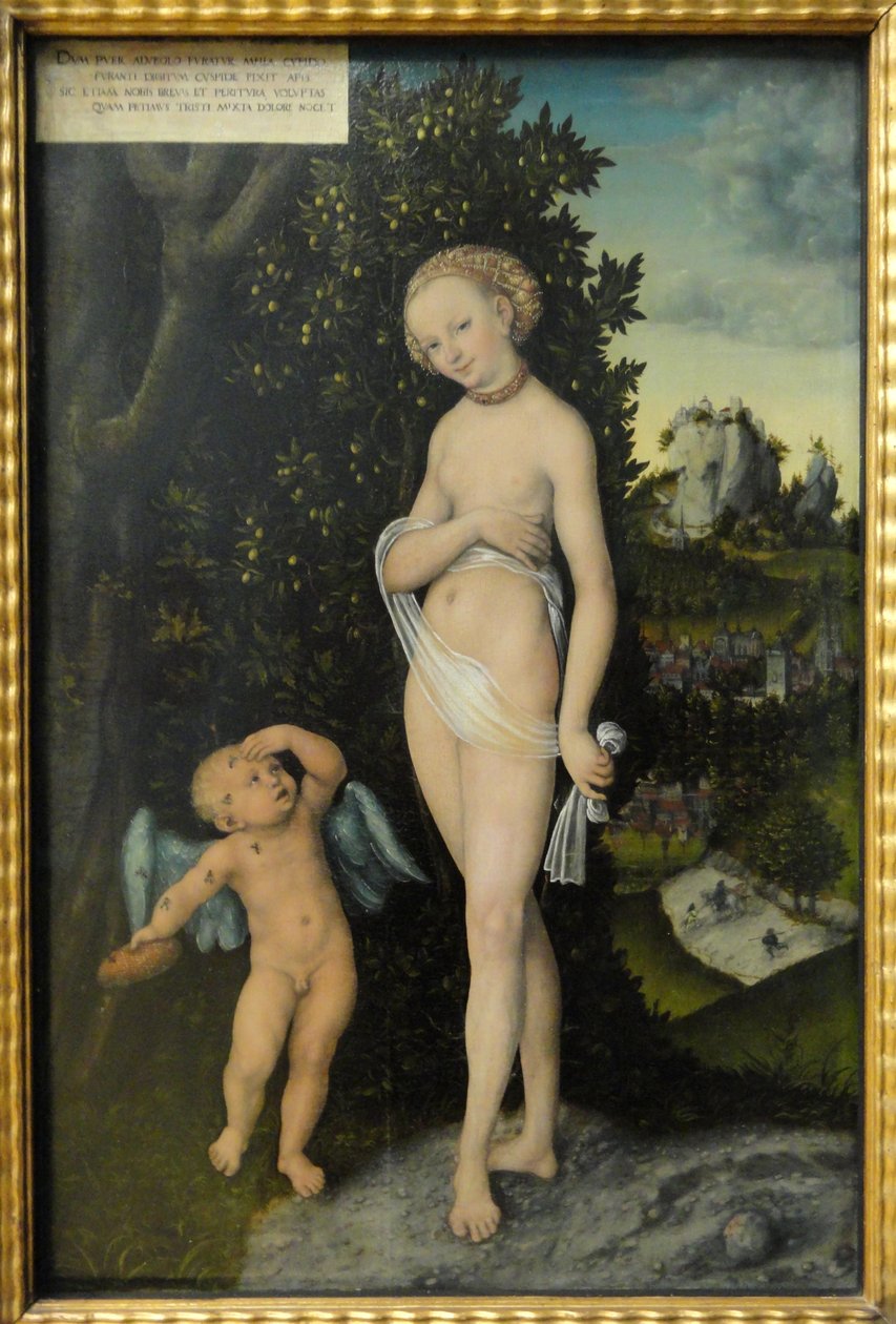 Venus og Amor, honningtyven av Lucas Cranach the Elder