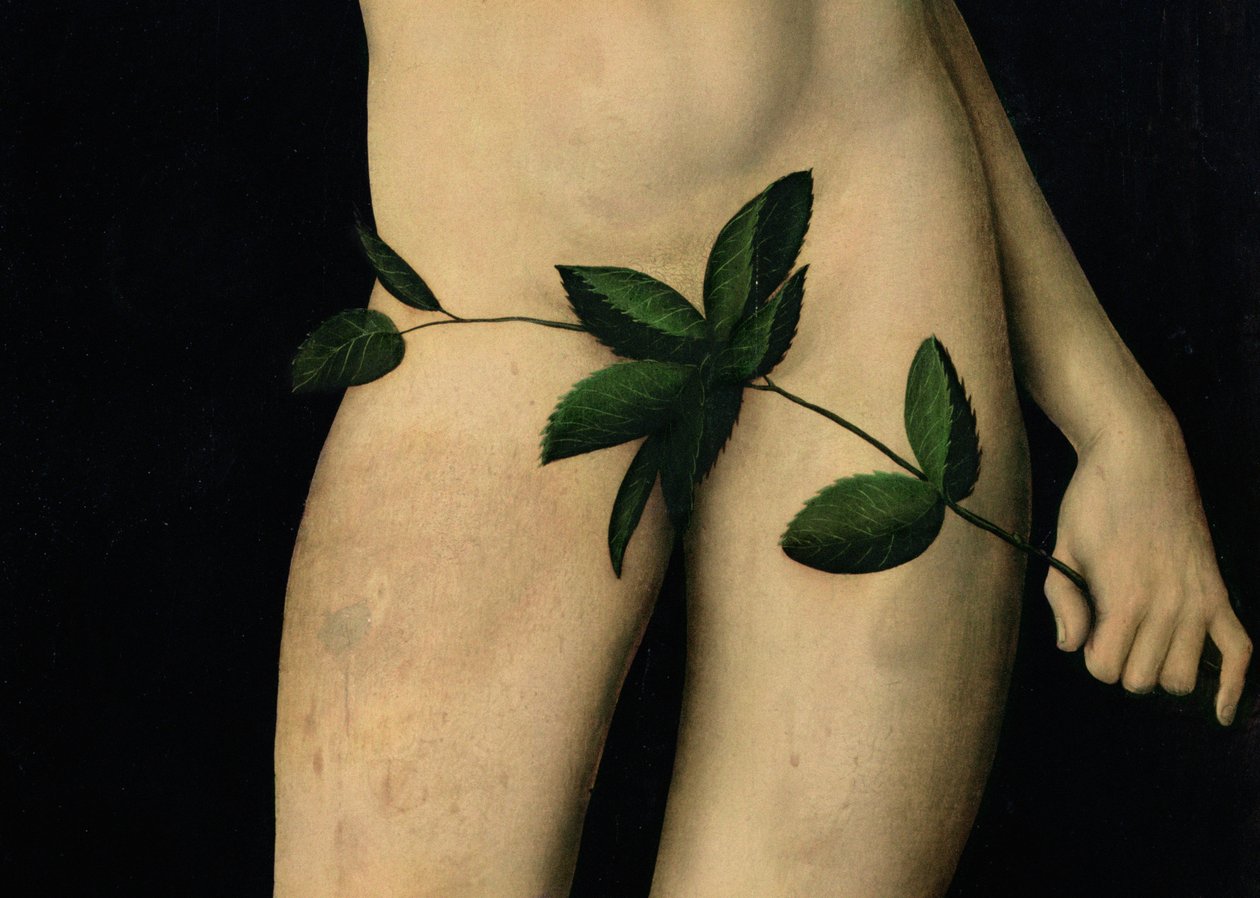 Adam, 1528 olje på panel detalj av 9628 av Lucas Cranach the Elder