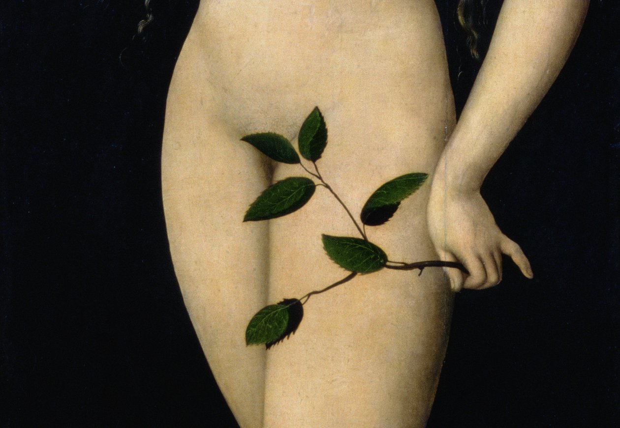 Eve, 1528 (detalj av 9629) av Lucas Cranach the Elder