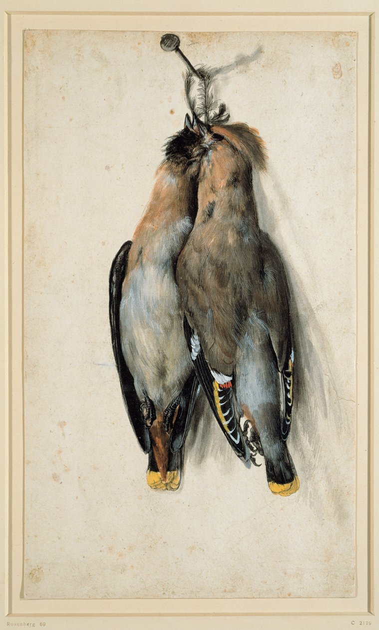 To døde bohemske vokser av Lucas Cranach the Elder