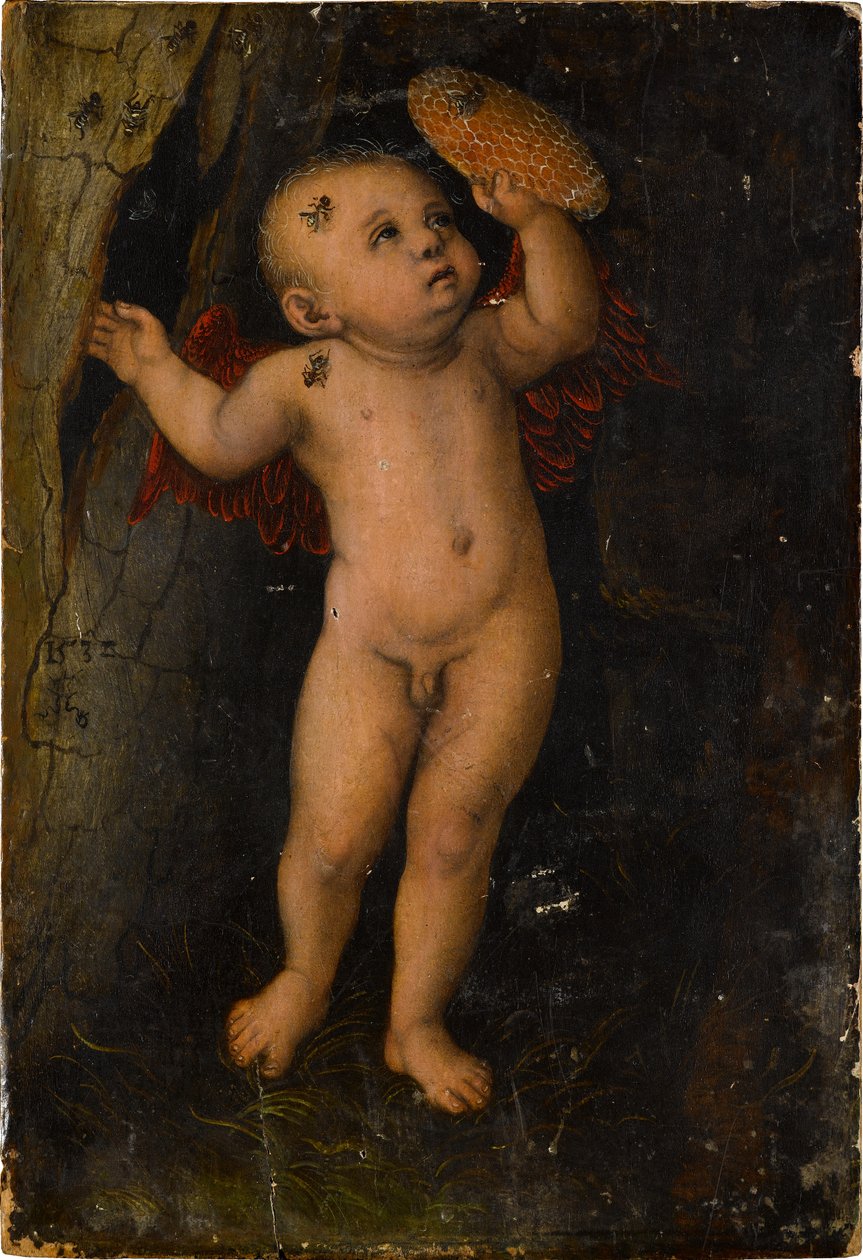 Amor als Honigdieb (Fragment) av Lucas Cranach