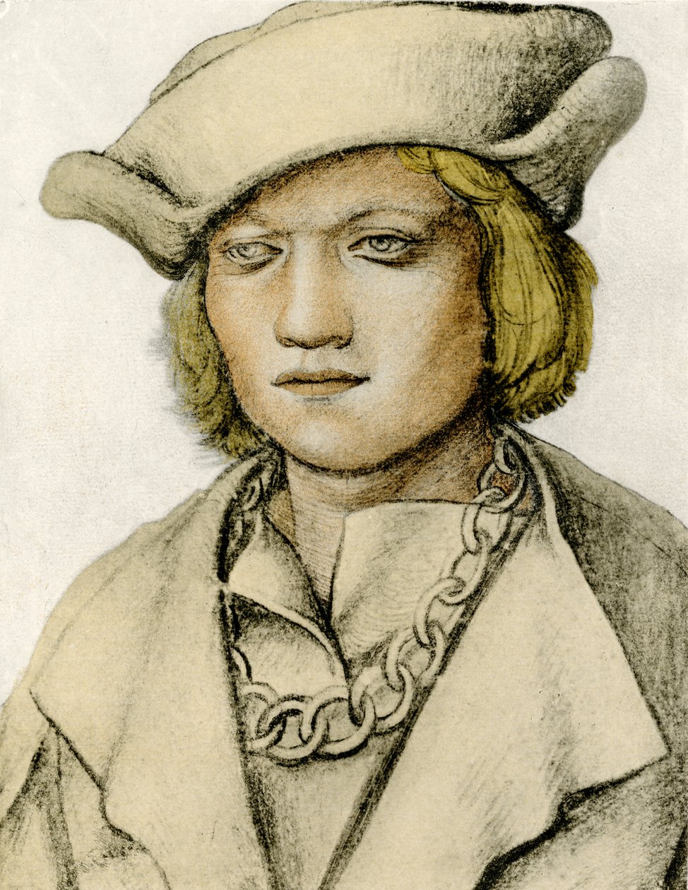 Portrett av en ung mann med hatt av Lucas Cranach the Elder