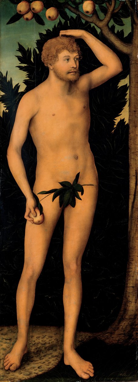 Adam, etter 1537 av Lucas Cranach the Elder