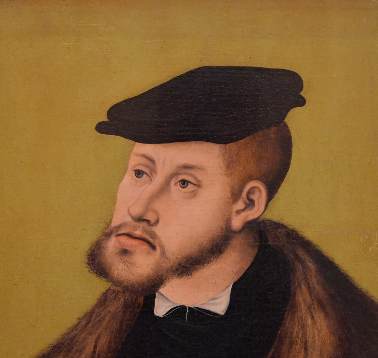 Tysk: Bildnis Kaiser Karl V. Portrett av keiser Karl V av Lucas Cranach the Elder