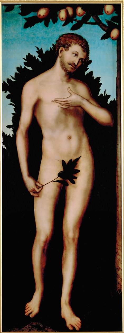  av Lucas the Elder Cranach