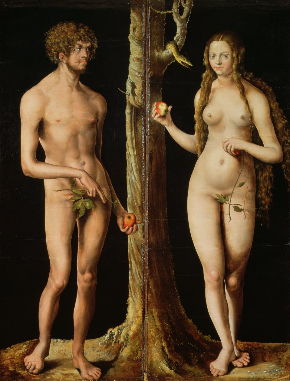 Adam og Eva, ca. 1508-10 (olje og tempera på kalk) (se også 159264) av Lucas the Elder Cranach