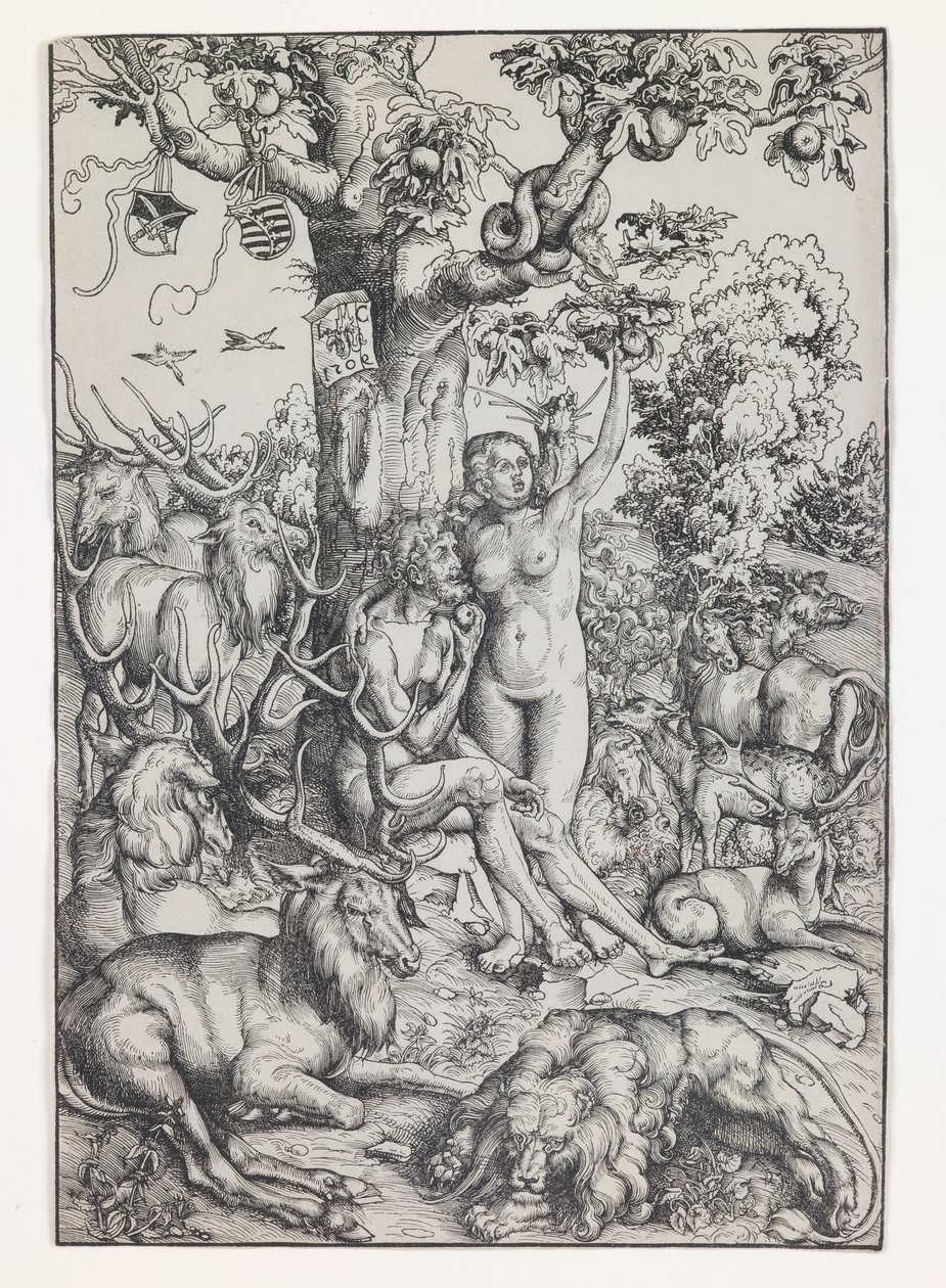  av Lucas the Elder Cranach