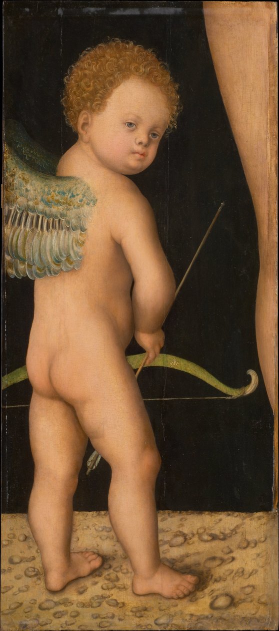 Amour - Amor, av Cranach, Lucas, den eldste (1472-1553). Olje på tre, ca 1530. Dimensjon : 81x36 cm. Kunsthistorisk museum, Vienne av Lucas the Elder Cranach