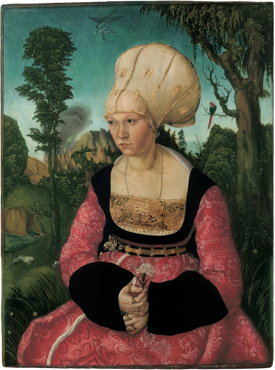 Portrett av Anna Cuspinian, av Cranach, Lucas, den eldste (1472-1553). Olje på tre av Lucas the Elder Cranach