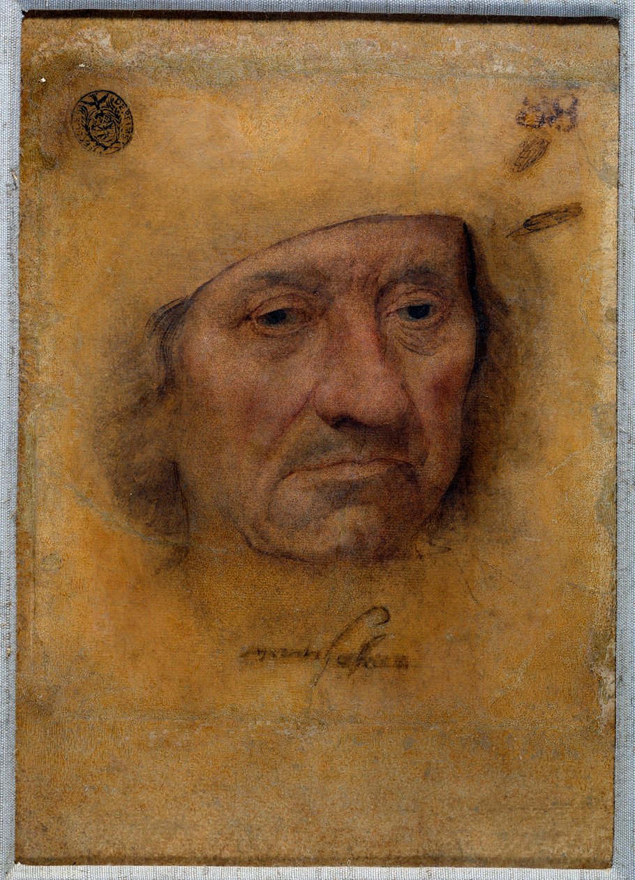 Portrett av doktor Petrus von Clapis Tegning i pastell av Bruyn fra skolen til Lucas Cranach den gamle (eller den eldre) av Lucas the Elder Cranach