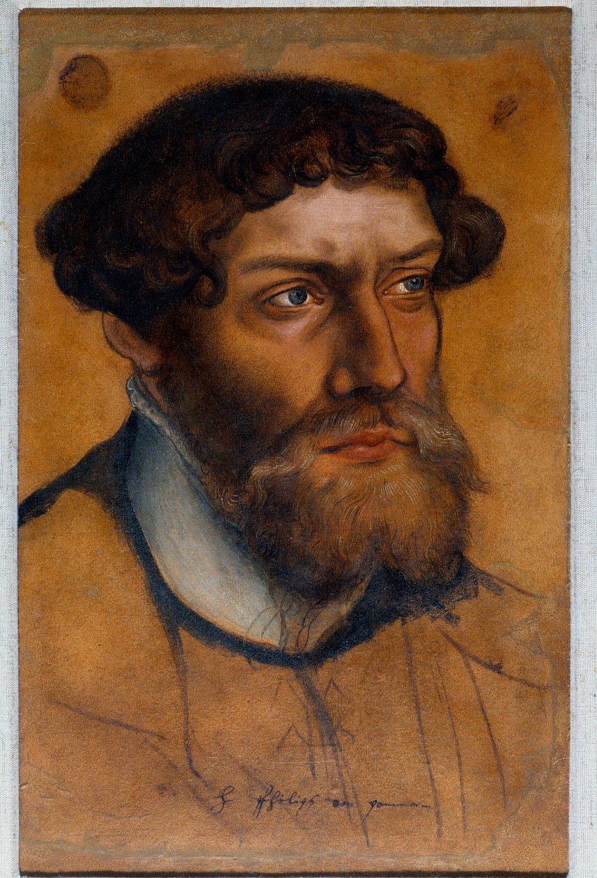 Portrett av Filip I av Pommern, reformens prins Tegning pastell av Lucas Cranach den gamle (eller den eldste) av Lucas the Elder Cranach