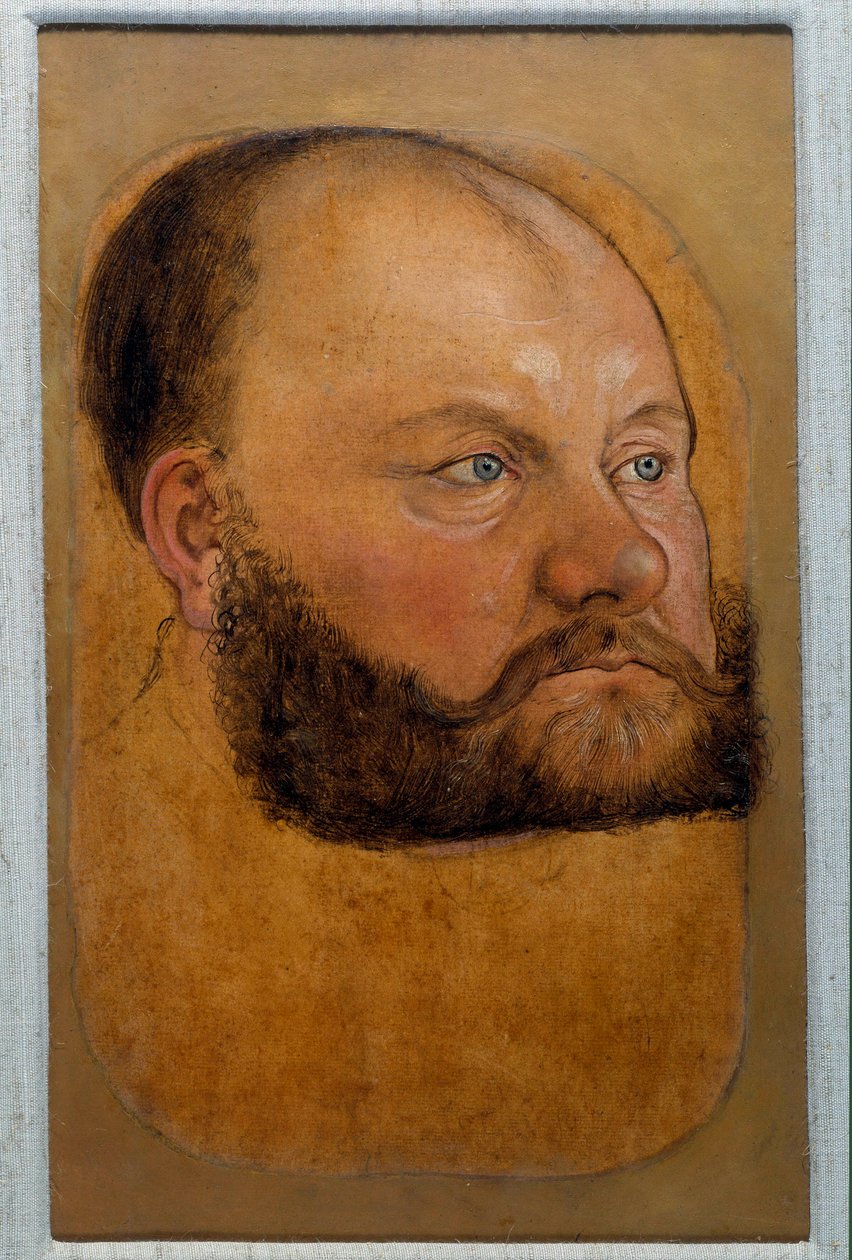 Portrett av prins Wolf Anhalt av Sachsen, prins av reformen Pastelltegning av Lucas Cranach den gamle (eller den eldste) av Lucas the Elder Cranach