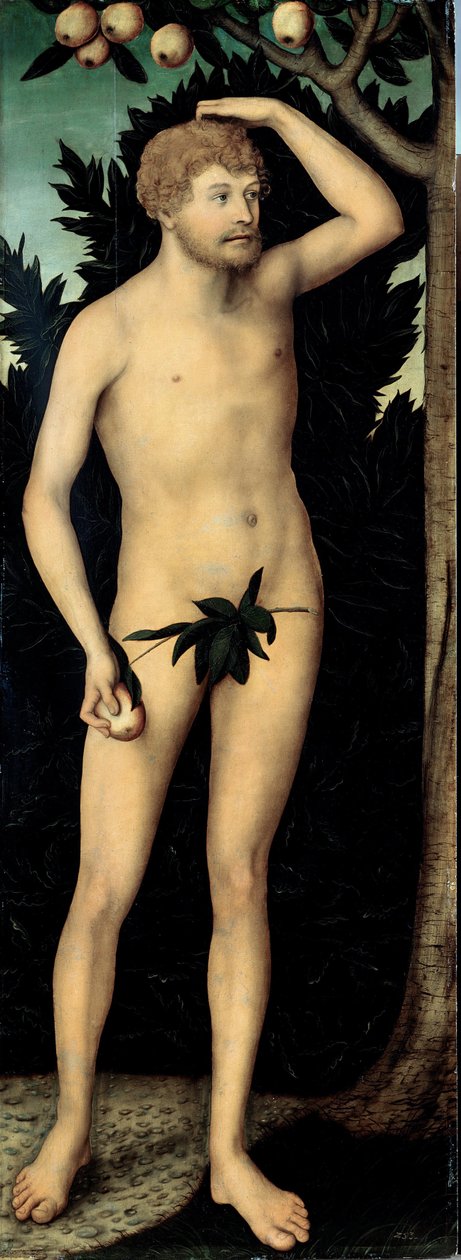 ""Adam"" Maleri av Lucas Cranach II den yngre (1515-1586) Etter 1537 Dim 171 x 63 cm Tyskland Dresden statlige kunstsamlinger av Lucas the Younger Cranach