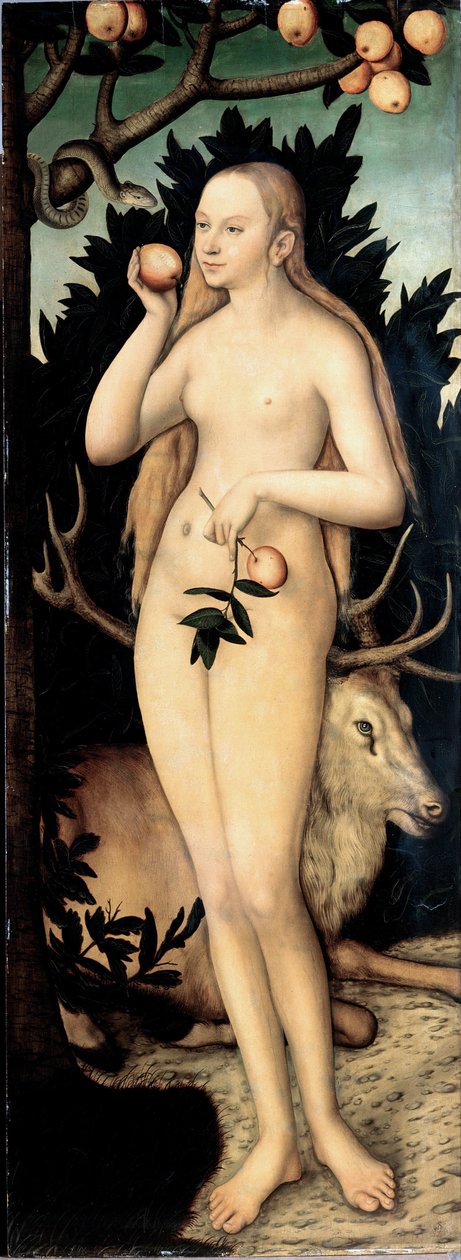 ""Eve"" Maleri av Lucas Cranach II den yngre (1515-1586) Etter 1537 Dim 171 x 63 cm Tyskland Dresden State Art Collections av Lucas the Younger Cranach