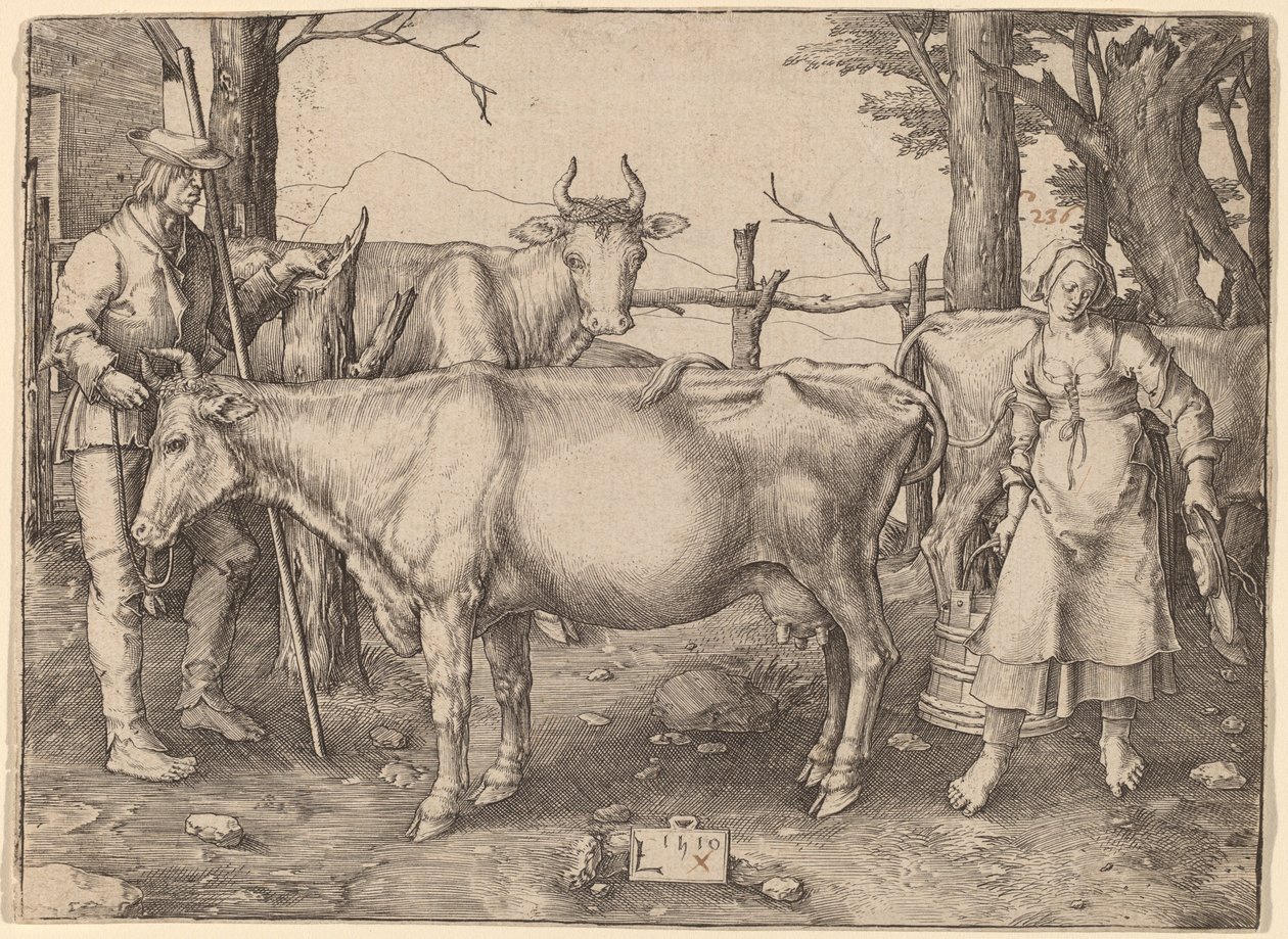 Melkejenta av Lucas van Leyden