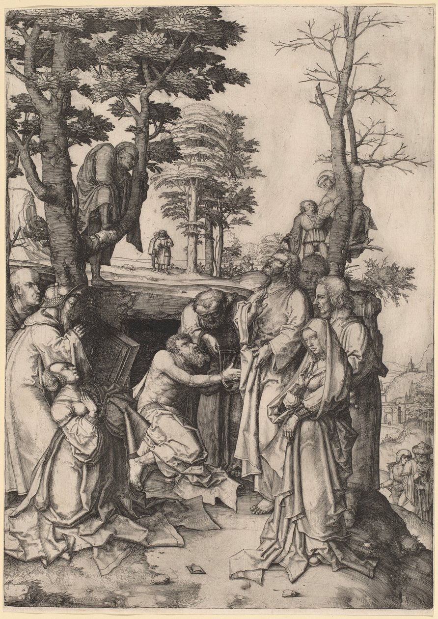  av Lucas van Leyden