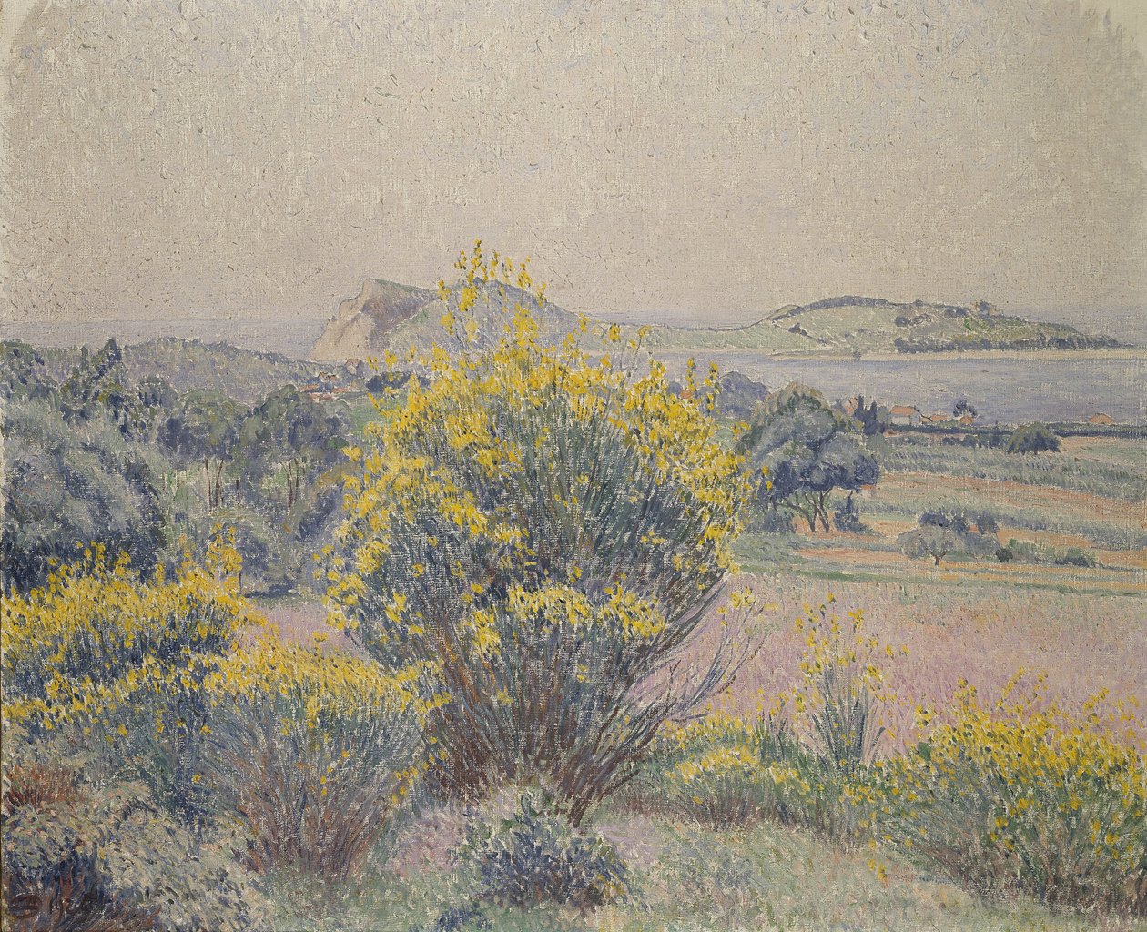Broom, Le Brusq, 1925 av Lucien Pissarro