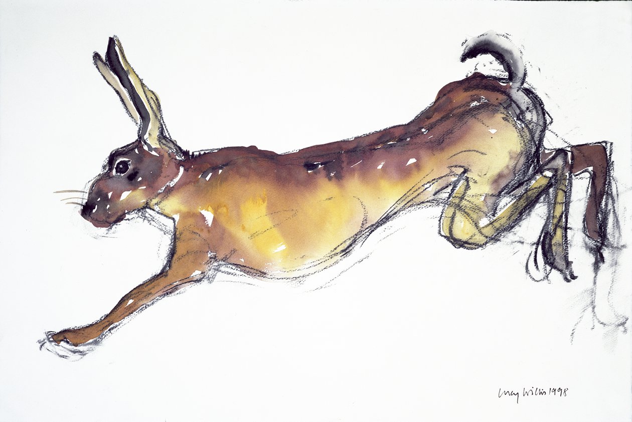 Jumping Hare (wc og kull på papir) av Lucy Willis