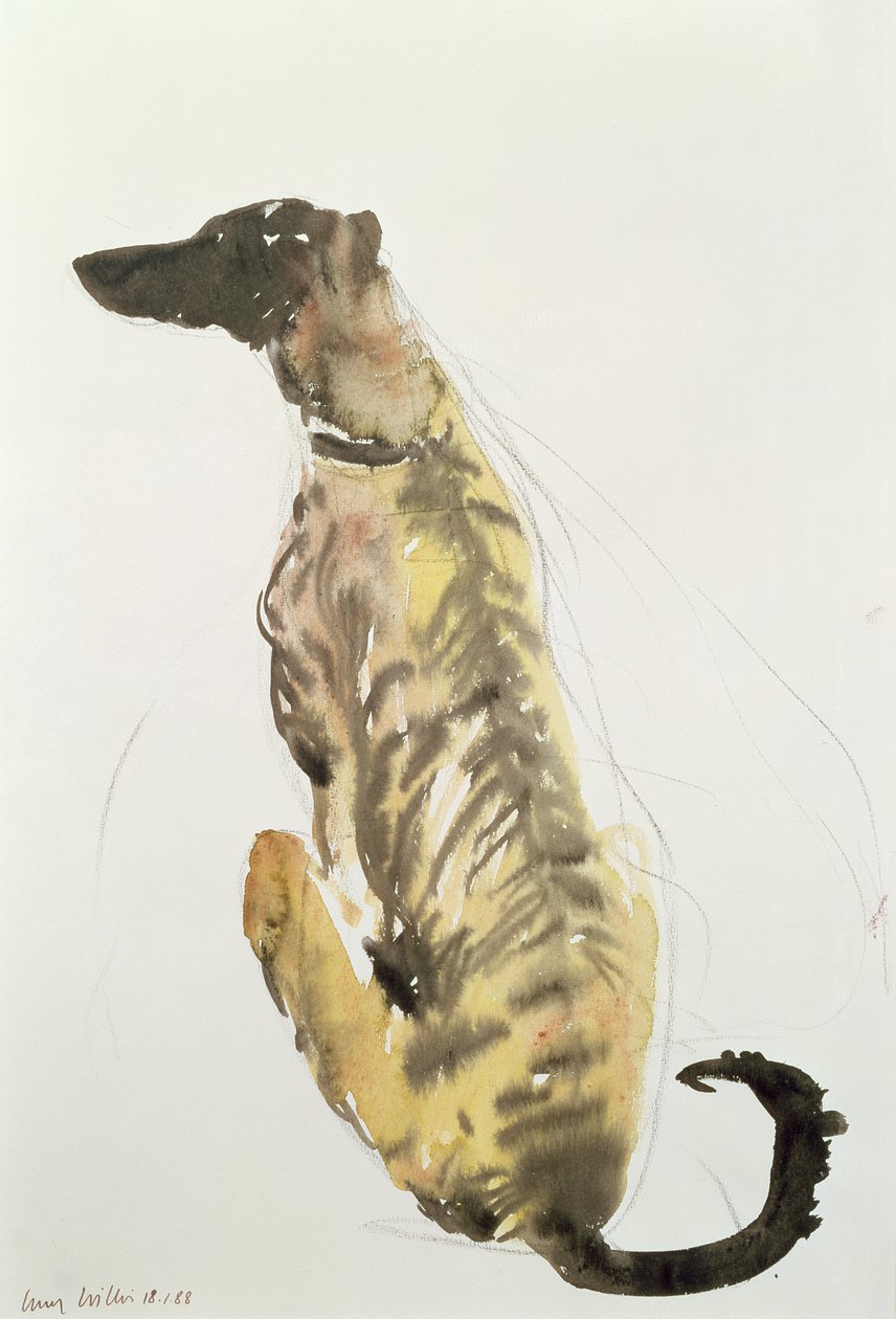 Lurcher Sitting, 1988 (kull og wc på papir) av Lucy Willis