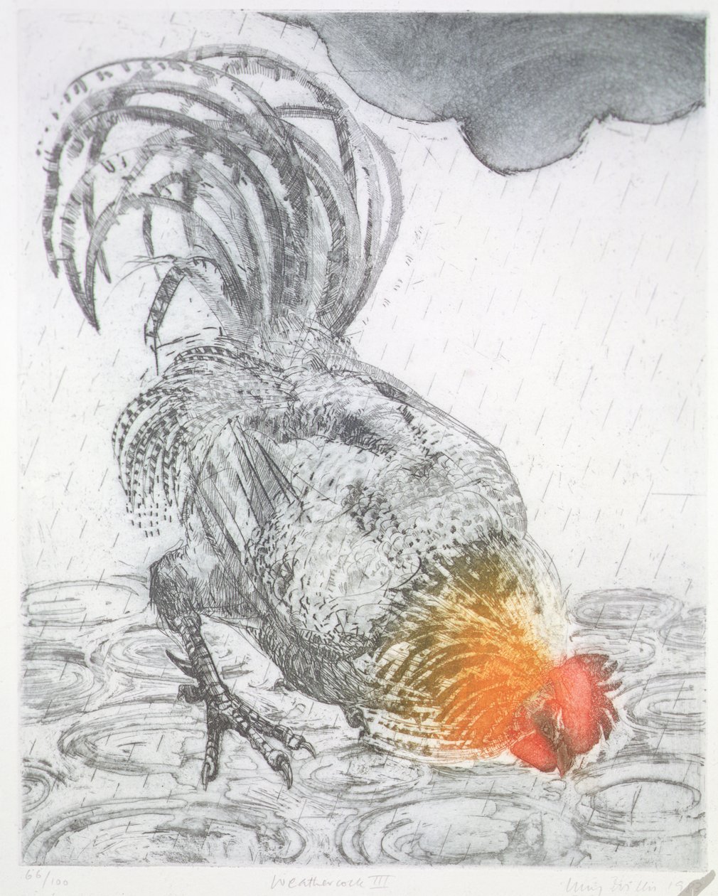 Weathercock II, 1983 (etsing på papir) av Lucy Willis