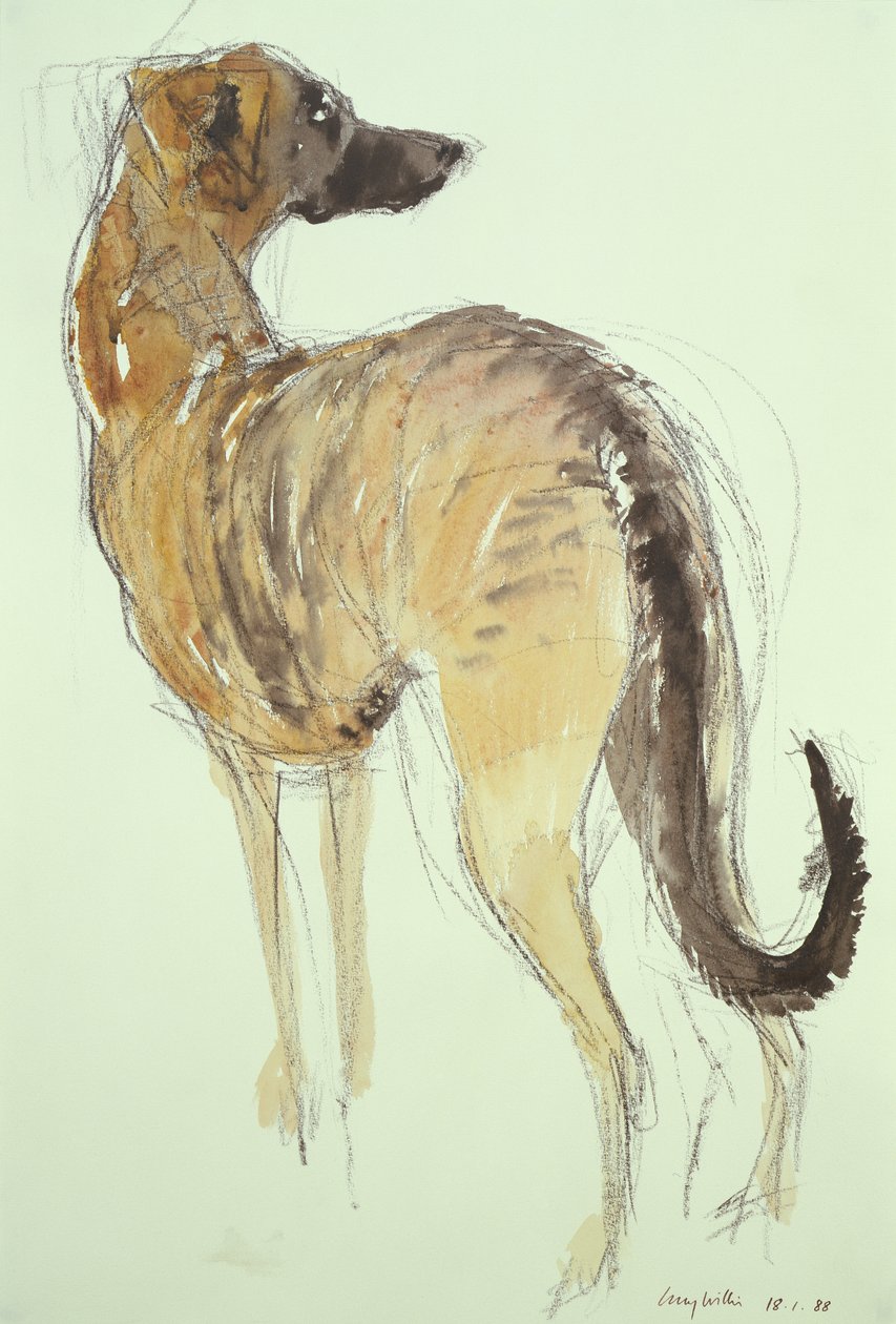 Lurcher stående av Lucy Willis