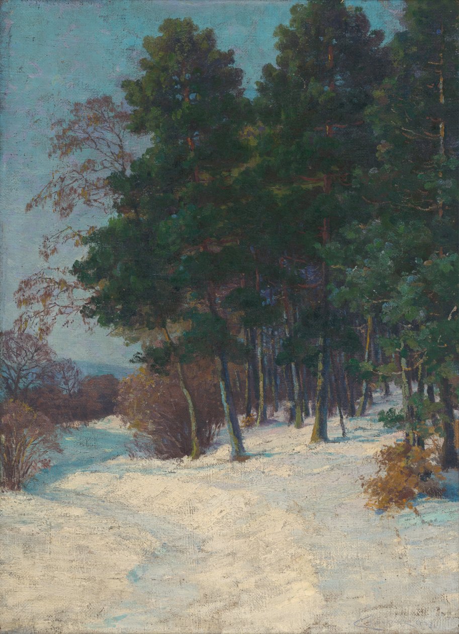 Skog om vinteren av Ludovit Cordak