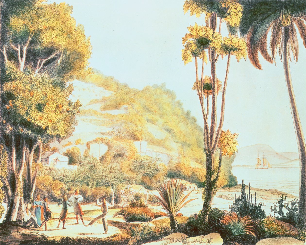 Utsikt over kysten av Brasil overfor øya Santa Catarina, ca. 1825 av Ludwig Choris