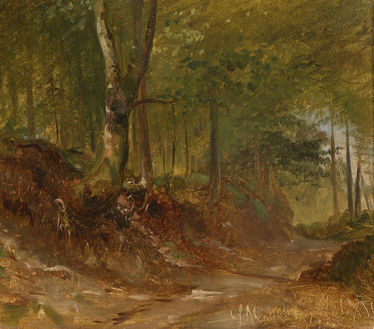 En skogssti av Ludwig Halauska