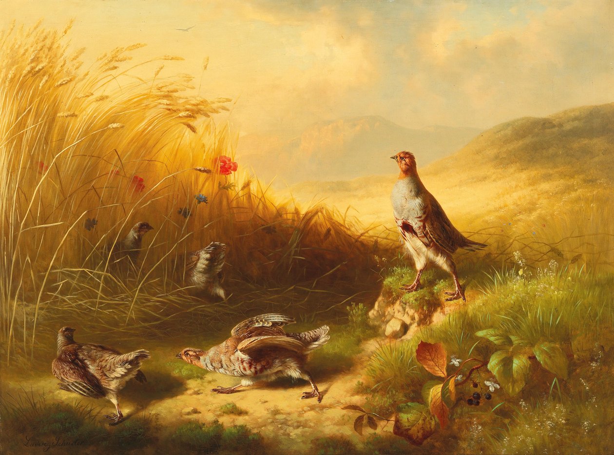 Høns med Fledglings på fjellbeitene av Ludwig Schuster