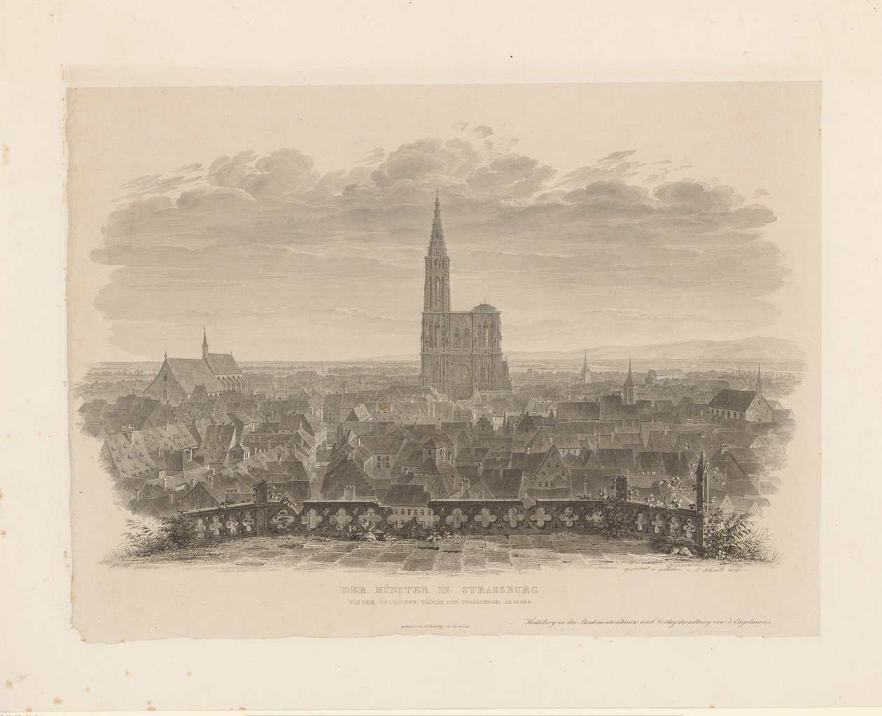 Portrett av katedralen i Straatsburg Minsteren i Strasbourg sett fra det østlige tårnet til Thomas-kirken (tittel på objekt) av Ludwig Friedrich Schnell