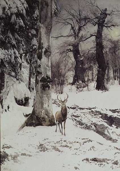 En hjort i en snødekt skog av Ludwig Fromme