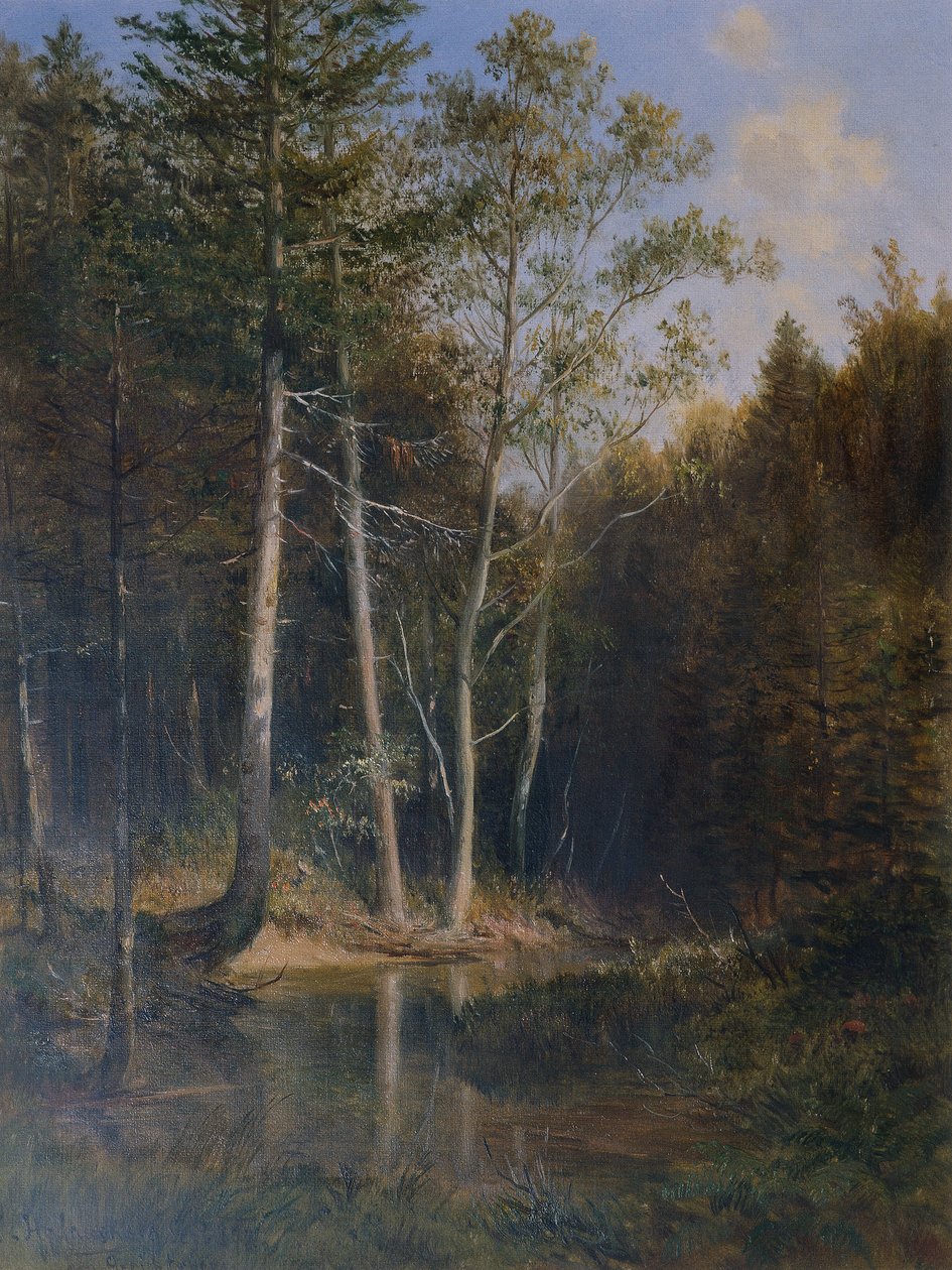 Skogområde på hofffjellet ved Kaumberg av Ludwig Halauska