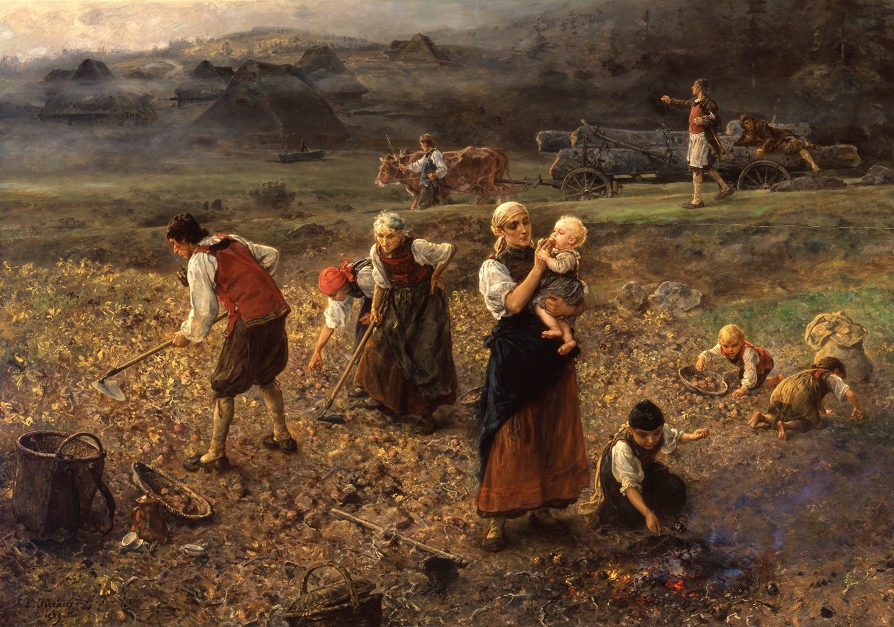  av Ludwig Knaus
