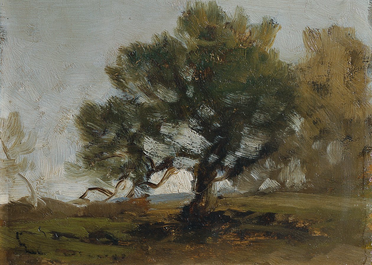 landskap av Ludwig Willroider
