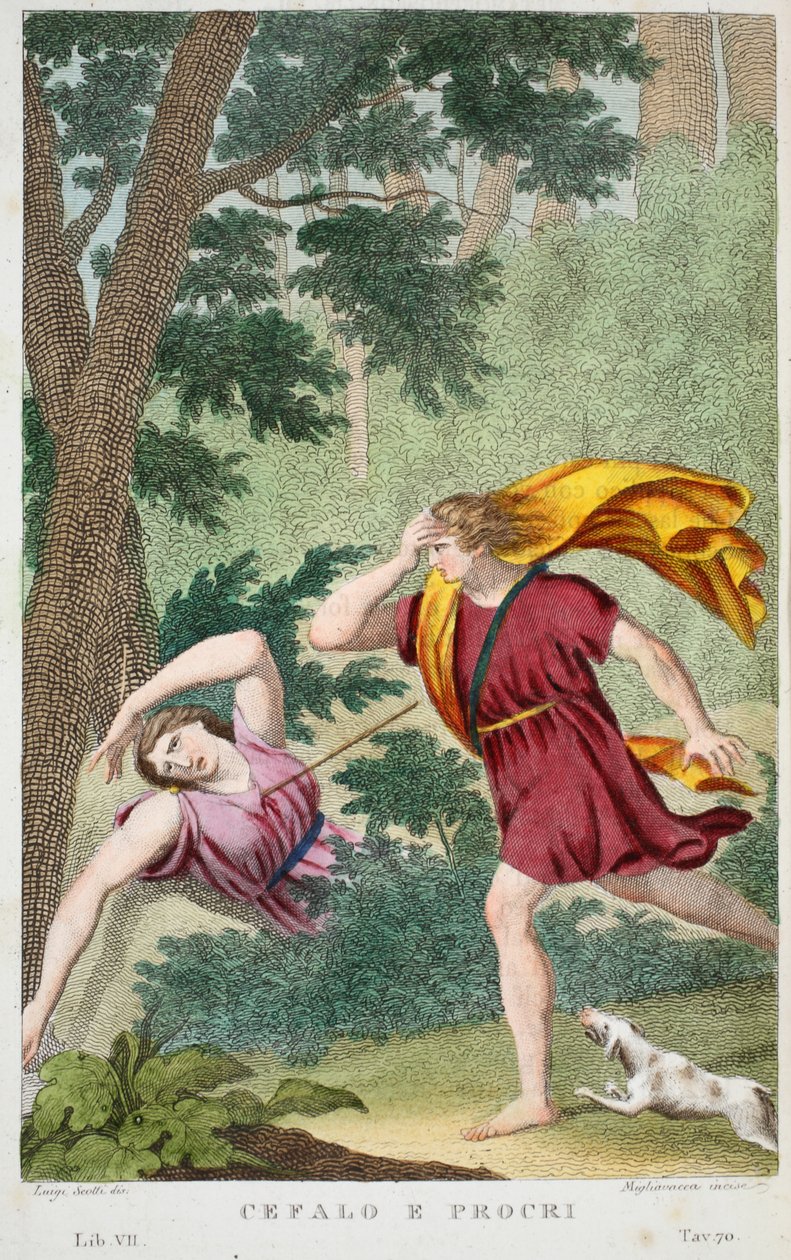 Cephalus og Procris eller Cefalo e Procri, bok VII, illustrasjon fra Ovids Metamorphoses, Firenze, 1832 (håndfarget gravering) av Luigi Ademollo