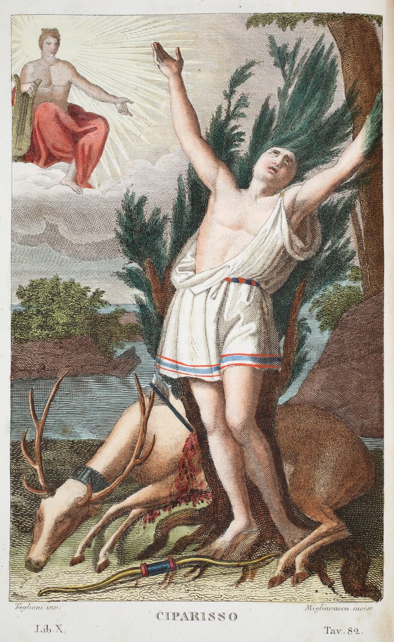 Cyparissus into a Tree or Ciparisso, Bok X, illustrasjon fra Ovids Metamorphoses, Firenze, 1832 (håndfarget gravering) av Luigi Ademollo