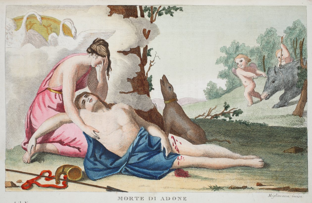 Adonis eller Morte di Adones død, bok X, illustrasjon fra Ovids Metamorphoses, Firenze, 1832 (håndfarget gravering) av Luigi Ademollo