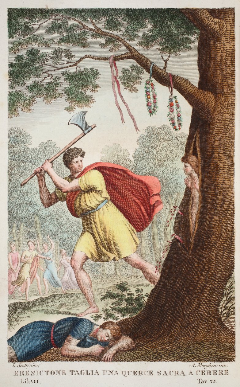 Erysichthons stolthet eller Eresictone Taglia una Querce sacra a Cerere, bok VIII, illustrasjon fra Ovids Metamorphoses, Firenze, 1832 (håndfarget gravering) av Luigi Ademollo