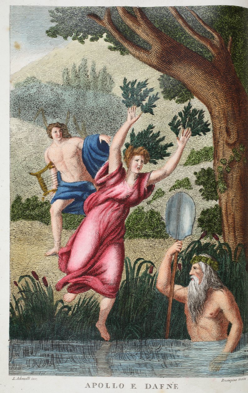 Phoebus og Daphne eller Apollo e Dafne, illustrasjon fra Ovids Metamorphoses, Firenze, 1832 (håndfarget gravering) av Luigi Ademollo