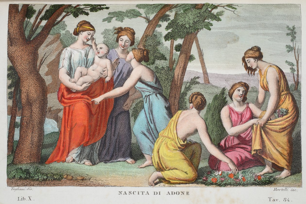 Fødselen til Adonis eller Nascita di Adone, bok X, illustrasjon fra Ovids Metamorphoses, Firenze, 1832 (håndfarget gravering) av Luigi Ademollo