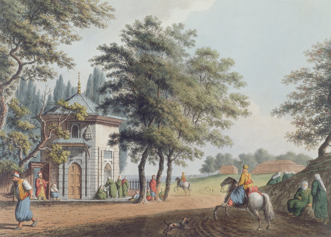 Pera, plate 3 fra 