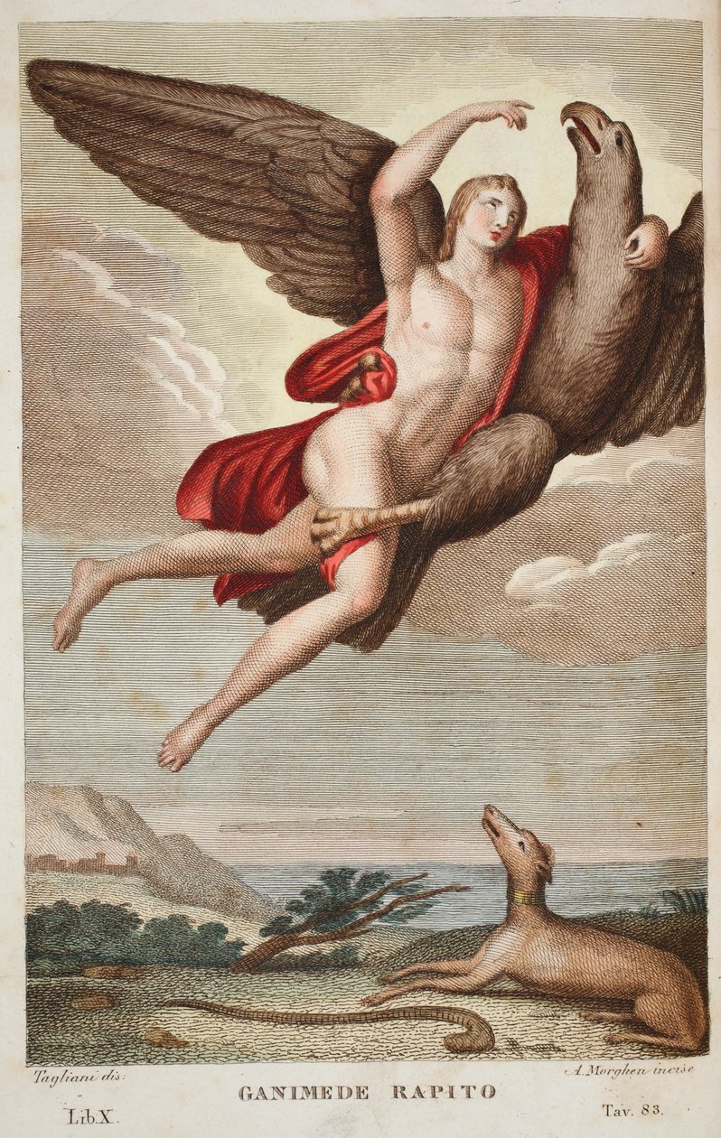 Ganymedes ført inn i himmelen eller Ganimede Rapito, bok X, illustrasjon fra Ovids Metamorphoses, Firenze, 1832 (håndfarget gravering) av Luigi Ademollo