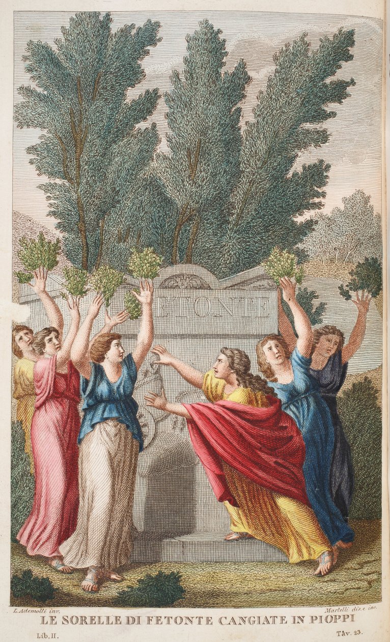 Heliades inn i trær som gir Amber eller Le Sorelle di Fetonte Cangiante i Pioppi, illustrasjon fra Ovids Metamorphoses, Firenze, 1832 (håndfarget gravering) av Luigi Ademollo