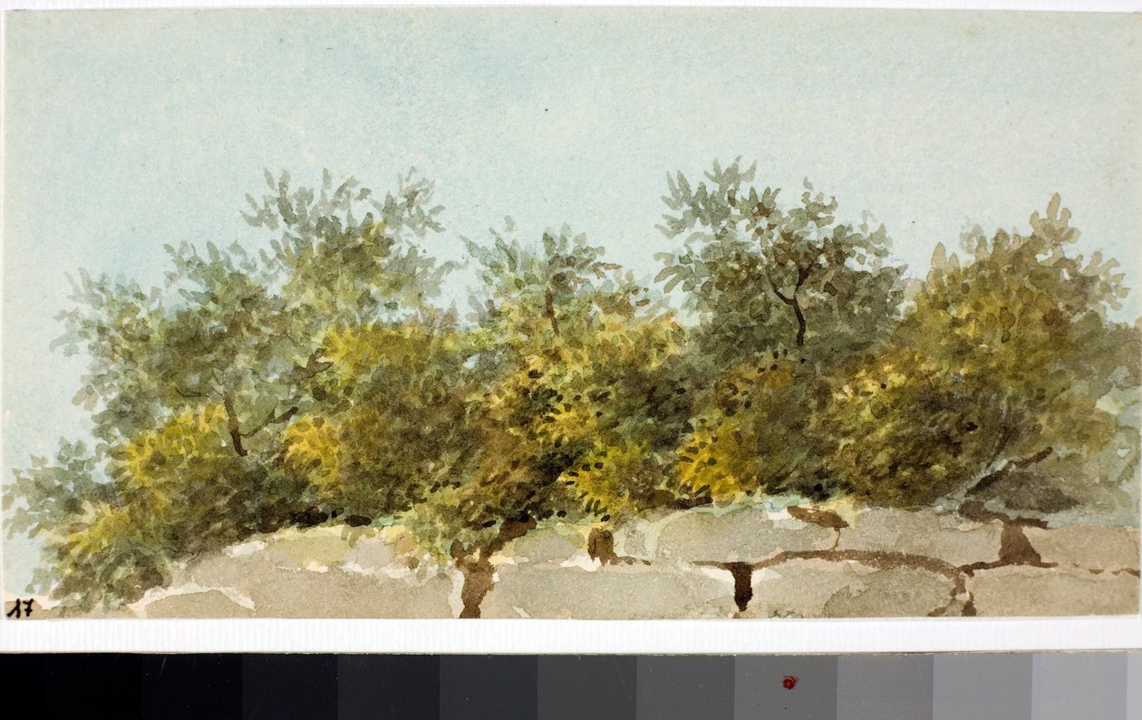 Oliven, Liguria (Akvarell, ca. 1825) av Luigi Garibbo