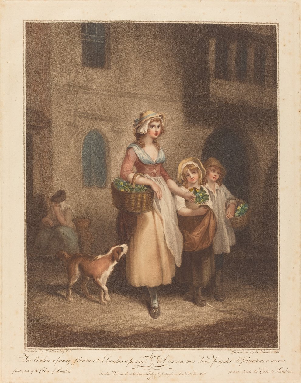 To bunter en krone, Primroser av Luigi Schiavonetti after Francis Wheatley
