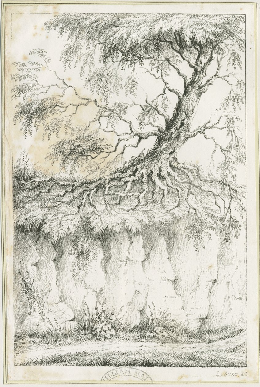 Dudley - Tre: litografi, nd [c 1825] (trykk) av Luke Booker